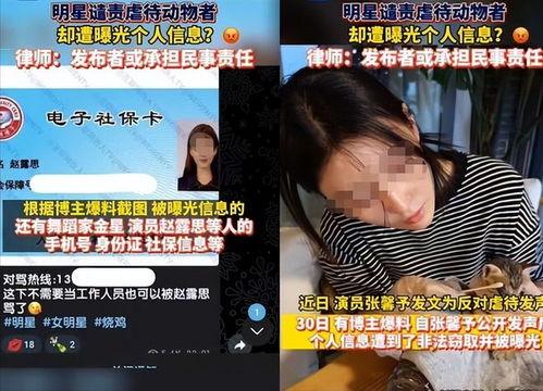 爆料博主揭秘事件真相视频,博主爆料事件背后惊人内幕