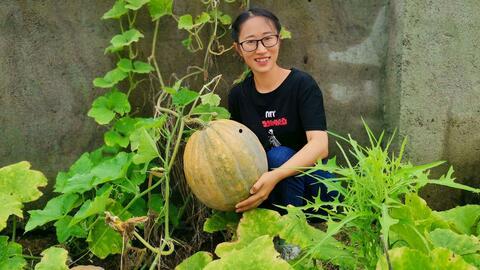 农村宝妈网红吃瓜,揭秘农村网红生活点滴