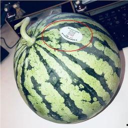 七夕网红吃瓜,揭秘娱乐圈背后的秘密